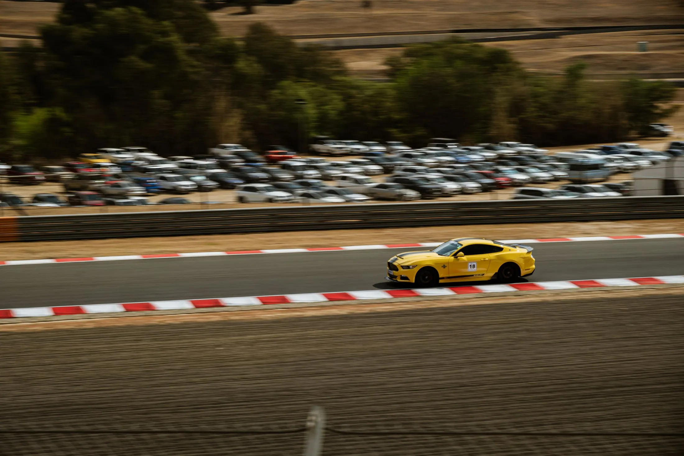 Festival of Motoring — 5